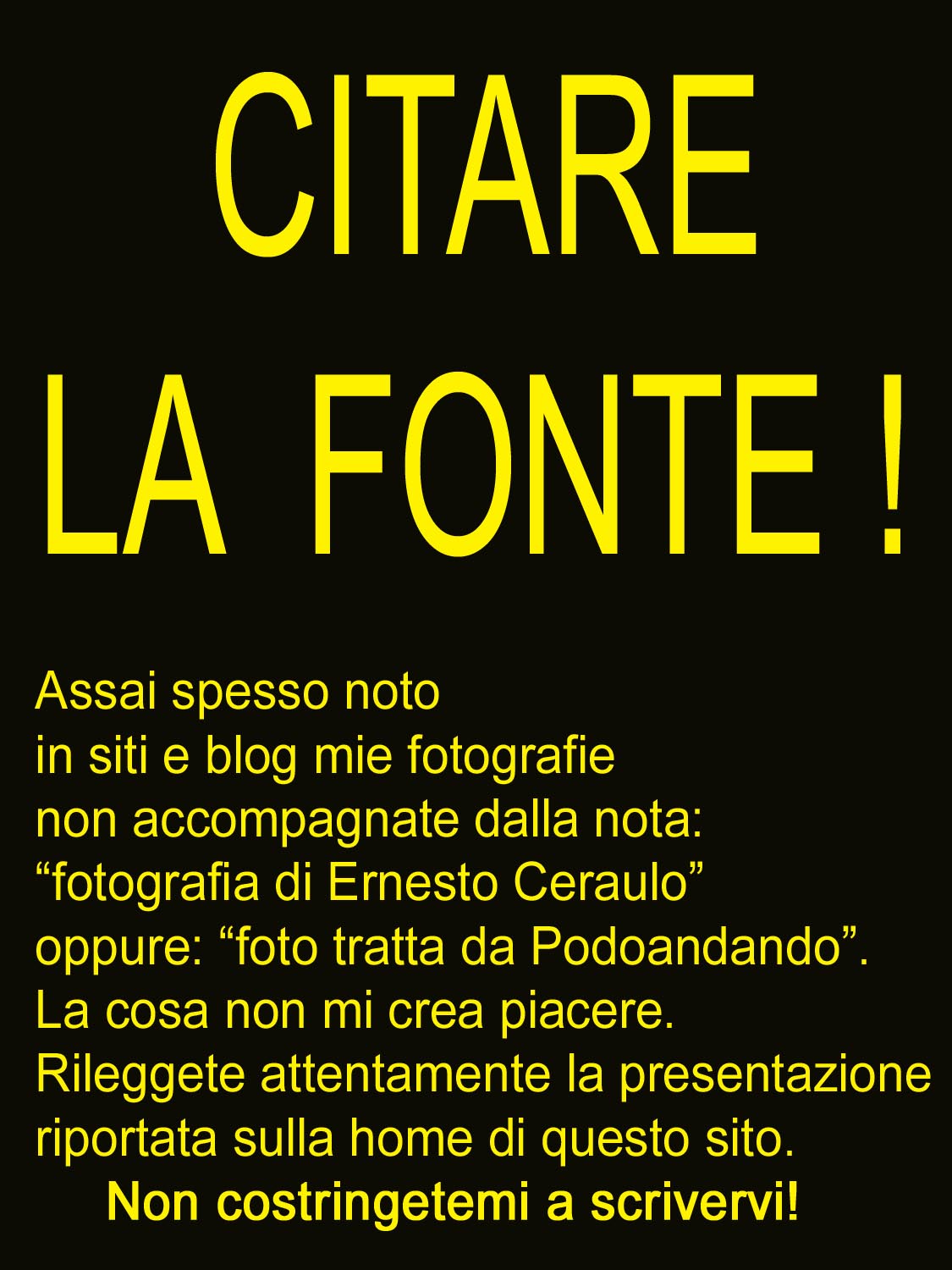 CITARE LA FONTE.jpg