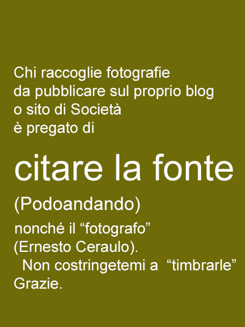 4 - Citare la fonte 2018-.jpg