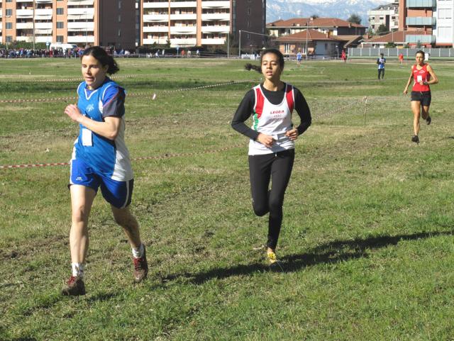 sanMauroCross 02-03-2014 470-.jpg