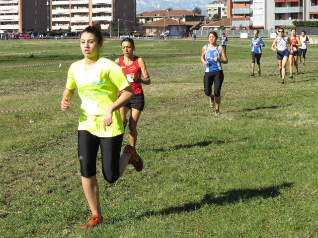 sanMauroCross 02-03-2014 471-.jpg