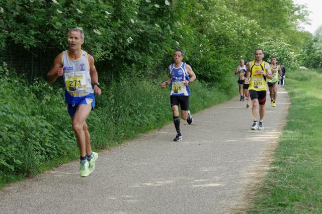 straVenaria 25-05-2014 127-.jpg