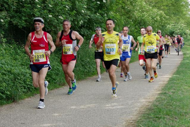 straVenaria 25-05-2014 517-.jpg