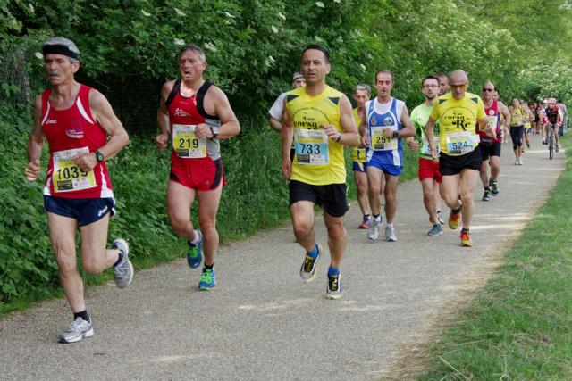 straVenaria 25-05-2014 518-.jpg