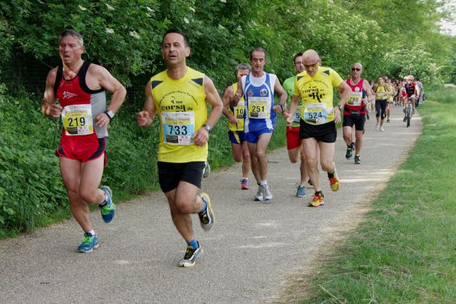 straVenaria 25-05-2014 519-.jpg