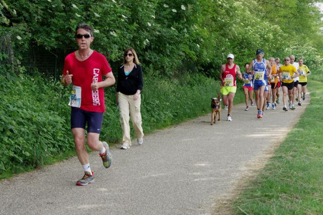 straVenaria 25-05-2014 570-.jpg