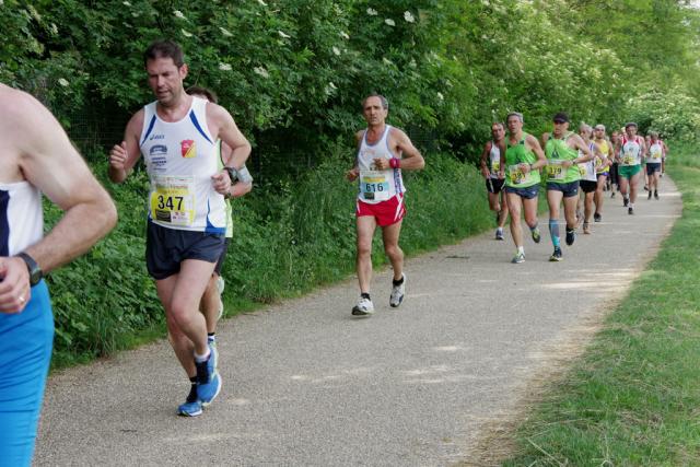 straVenaria 25-05-2014 597-.jpg