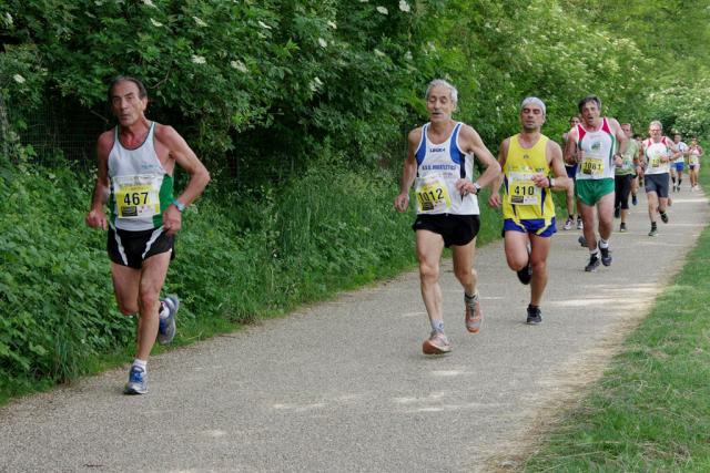 straVenaria 25-05-2014 609-.jpg