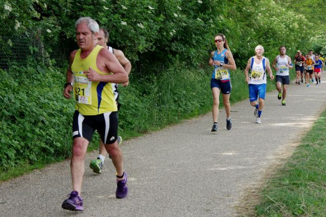 straVenaria 25-05-2014 642-.jpg