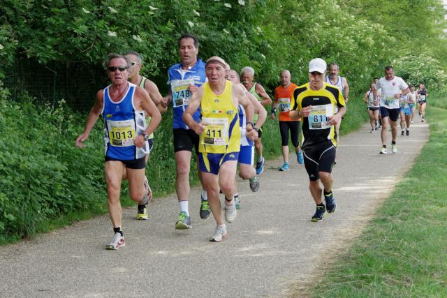 straVenaria 25-05-2014 705-.jpg