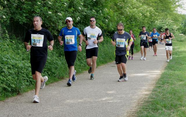 straVenaria 25-05-2014 a1083-.jpg