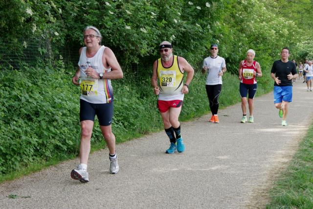 straVenaria 25-05-2014 a1151-.jpg