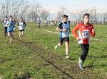 cross di Trofarello 26-01-2014 518-.jpg