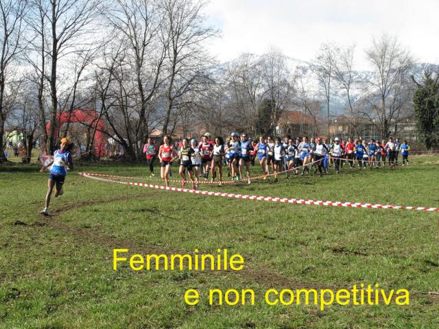 cross di Ciriè 09-02-2014 519-.jpg