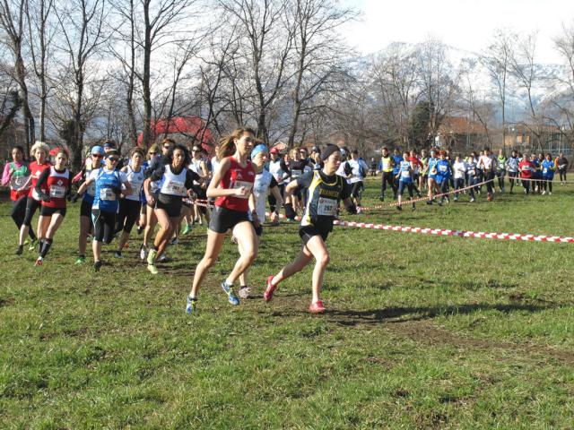 cross di Ciriè 09-02-2014 522-.jpg