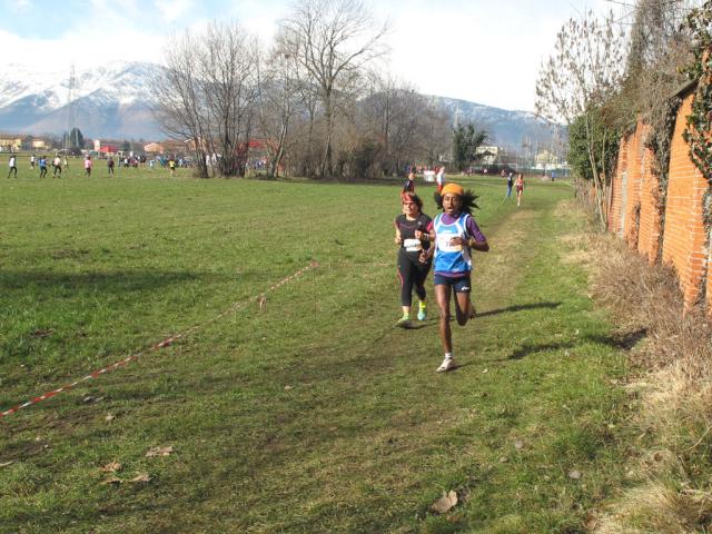 cross di Ciriè 09-02-2014 644-.jpg