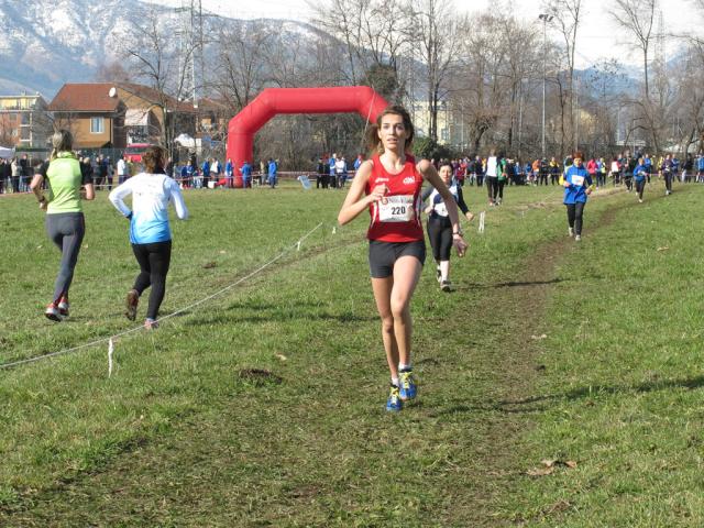 cross di Ciriè 09-02-2014 677-.jpg