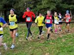 Cross di Collegno 18-01-2015 447-.jpg