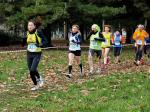 Cross di Collegno 18-01-2015 455-.jpg