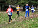 Cross di Collegno 18-01-2015 493-.jpg