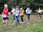 Cross di Collegno 18-01-2015 500-.jpg