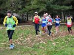 Cross di Collegno 18-01-2015 517-.jpg