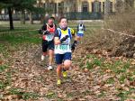 Cross di Collegno 18-01-2015 564-.jpg