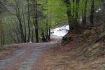 trail di Valdellatorre 19-4-2015 038-.jpg