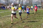 Cross di Ciriè 01-03-2015 426-.jpg