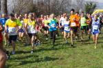 Cross di Ciriè 01-03-2015 553-.jpg