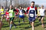 Cross di Ciriè 01-03-2015 573-.jpg