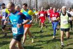 Cross di Ciriè 01-03-2015 584-.jpg