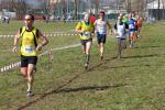 Cross di Ciriè 01-03-2015 649-.jpg