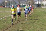 Cross di Ciriè 01-03-2015 650-.jpg