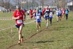 Cross di Ciriè 01-03-2015 890-.jpg