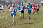 Cross di Ciriè 01-03-2015 895-.jpg