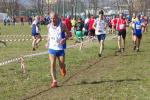 Cross di Ciriè 01-03-2015 901-.jpg