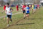 Cross di Ciriè 01-03-2015 903-.jpg