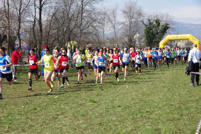 Cross di Ciriè 01-03-2015 a1112-.jpg