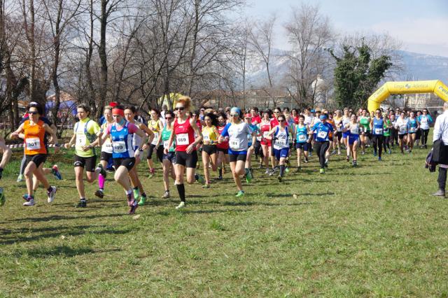 Cross di Ciriè 01-03-2015 a1115-.jpg