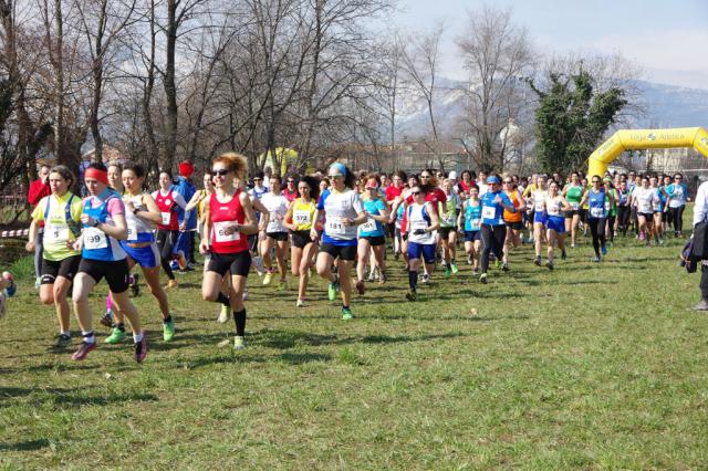 Cross di Ciriè 01-03-2015 a1116-.jpg