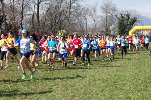 Cross di Ciriè 01-03-2015 a1119-.jpg