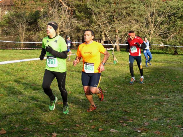 Cross di Collegno 18-01-2015 182-.jpg