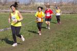 Cross di Ciriè 01-03-2015 a1414-.jpg