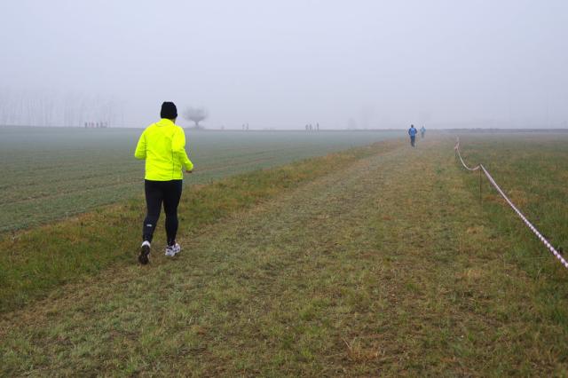 cross di Trofarello 31-01-2016 714-.jpg