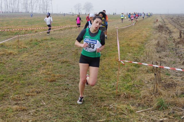 cross di Trofarello 31-01-2016 a1054-.jpg