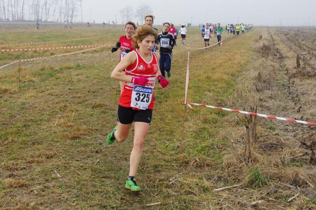 cross di Trofarello 31-01-2016 a1059-.jpg