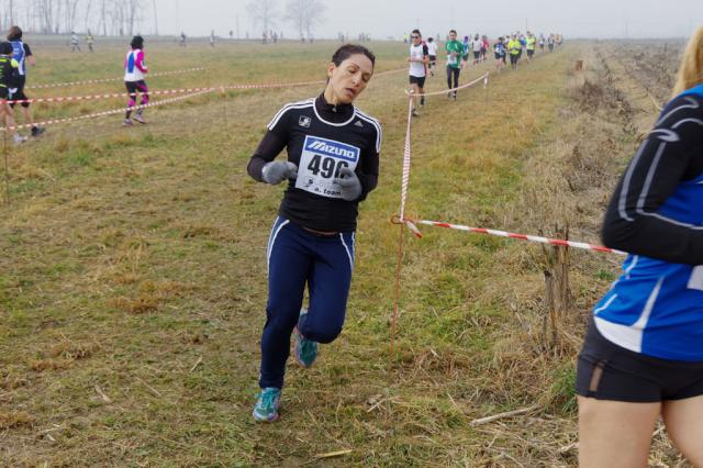 cross di Trofarello 31-01-2016 a1065-.jpg