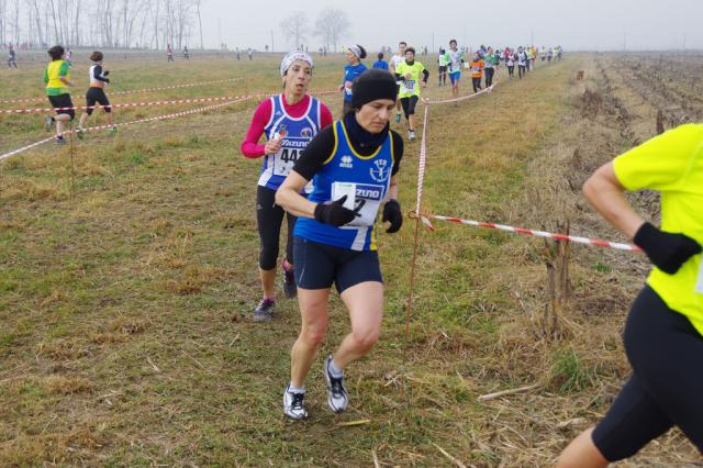 cross di Trofarello 31-01-2016 a1070-.jpg