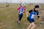 cross di Trofarello 31-01-2016 a1071-.jpg