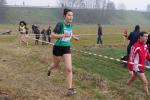 cross di Trofarello 31-01-2016 a1131-.jpg